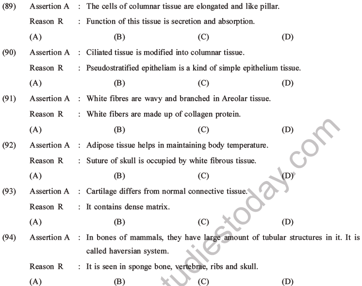 animal tissues questions and answers